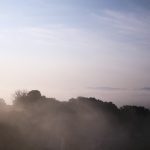 朝霧のある風景